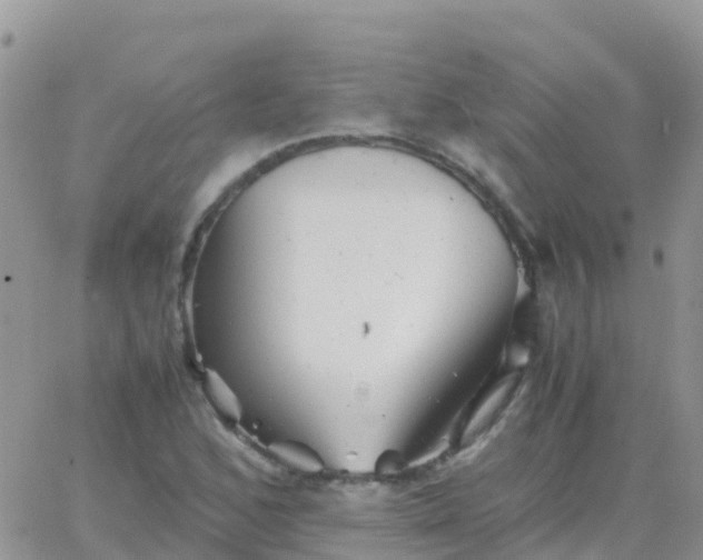 X0000065961168200603172017