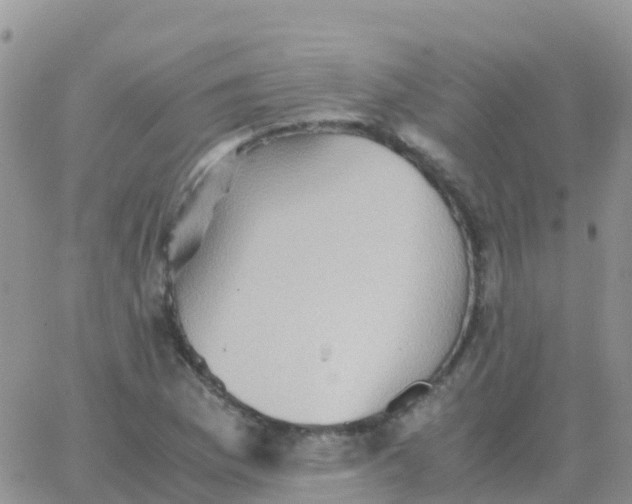 X0000065961169200603172017