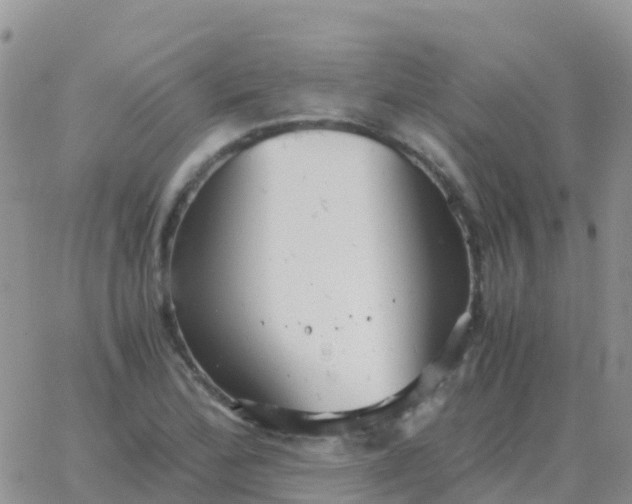 X0000065961172200603172017