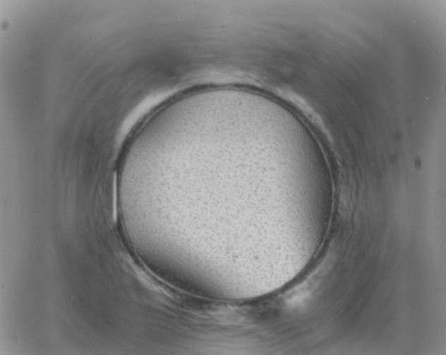 X0000065961175200603172017