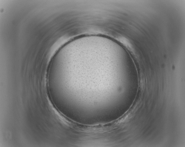 X0000065961183200603172017