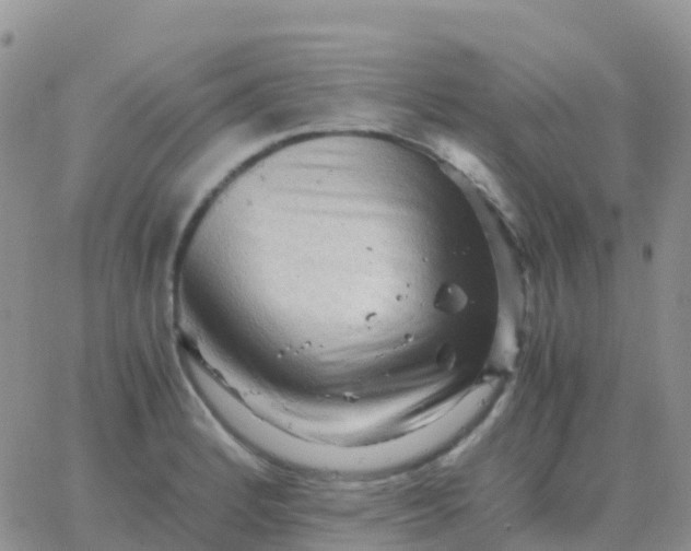 X0000065961184200603172017