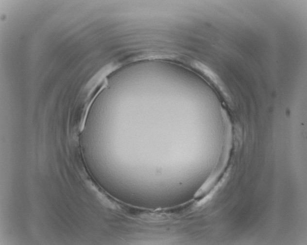 X0000065961185200603172017