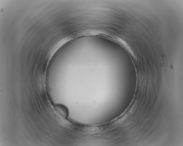 X0000065961186200603172017