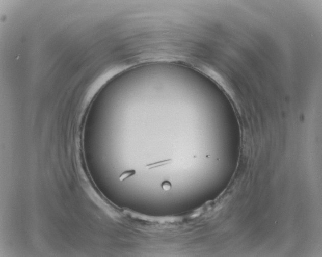 X0000065961187200603172017