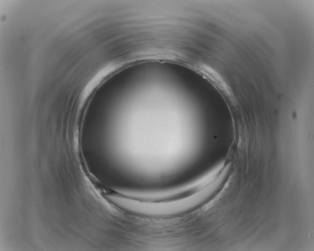 X0000065961188200603172017