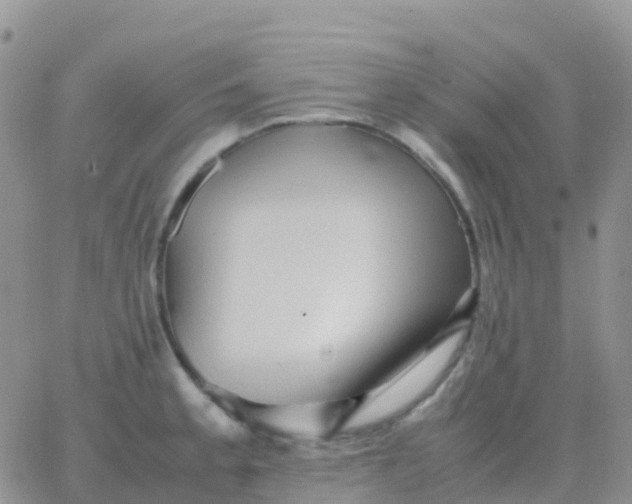 X0000065961189200603172017