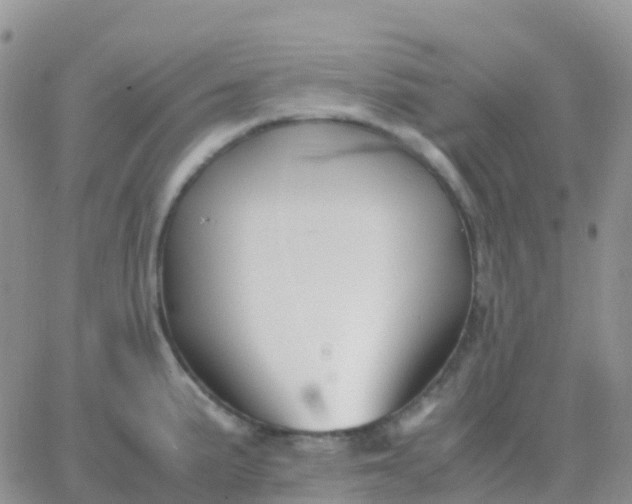 X0000065961191200603172017