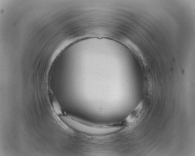 X0000065961192200603172017