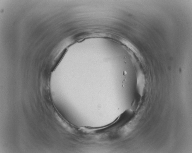 X0000065961193200603172017