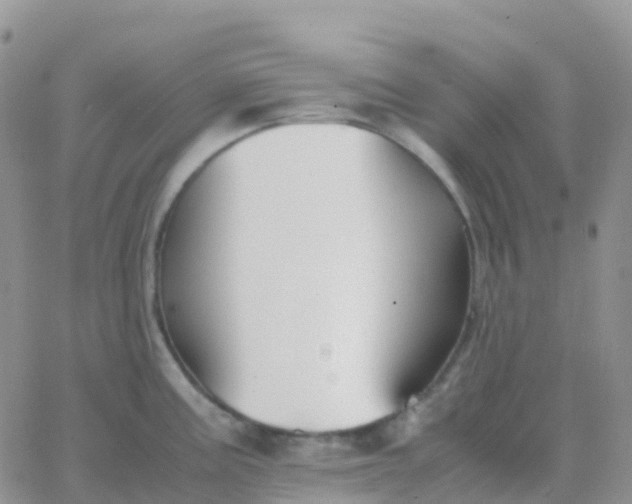 X0000065961195200603172017