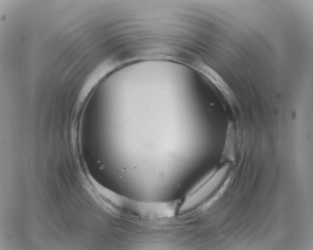 X0000065961196200603172017