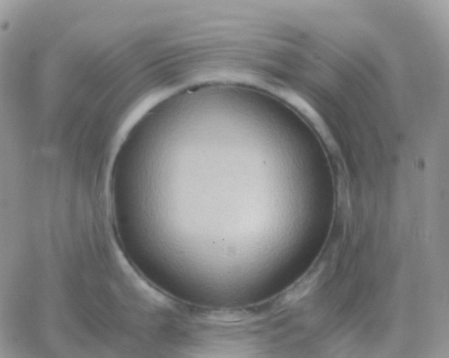 X0000065961199200603172016