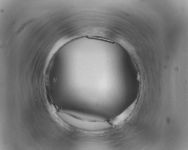 X0000065961200200603172016