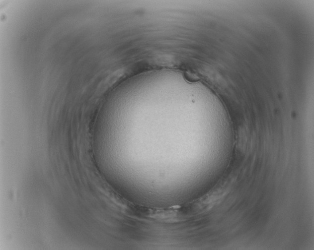 X0000065961201200603172016