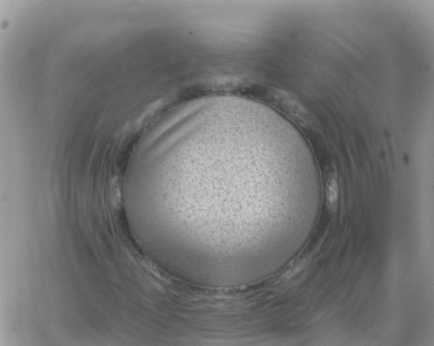 X0000065961204200603172016