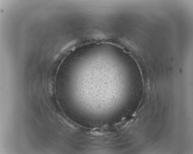 X0000065961205200603172016