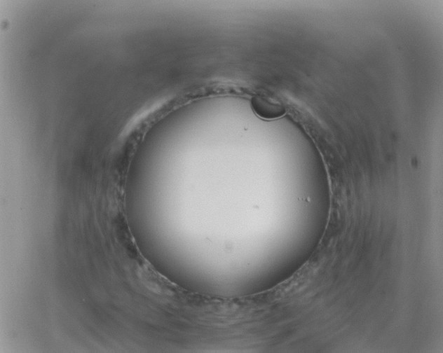 X0000065961207200603172016