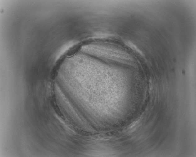 X0000065961208200603172016