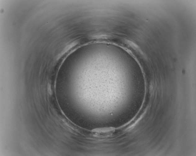 X0000065961209200603172016