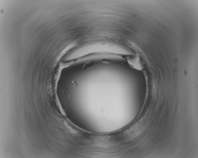 X0000065961210200603172016