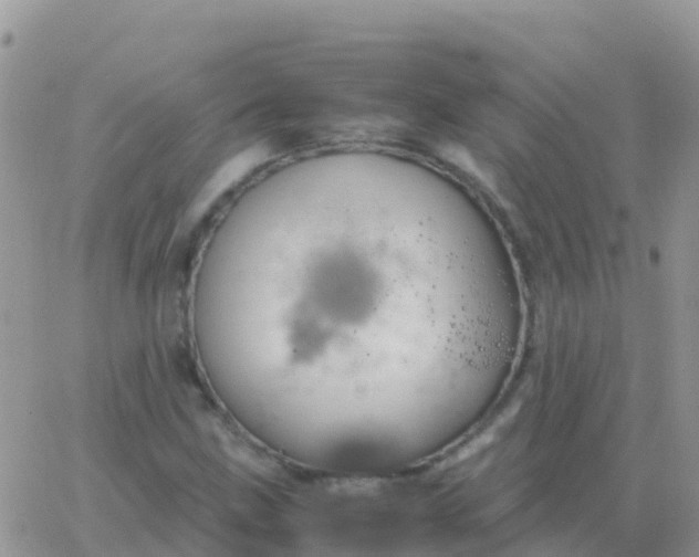 X0000065961211200603172016