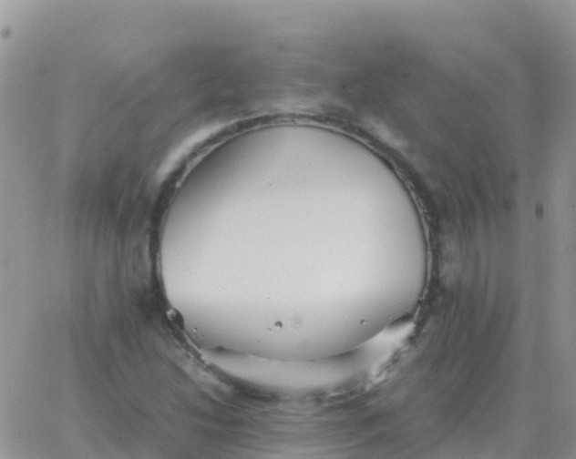 X0000065961214200603172016