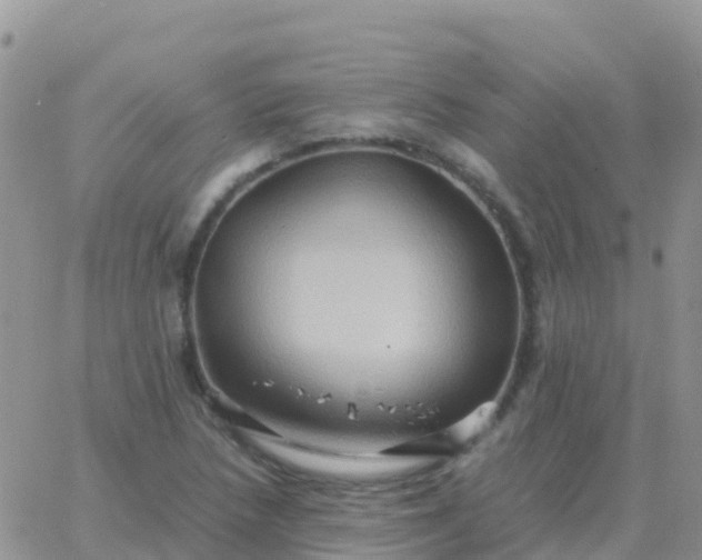 X0000065961218200603172016