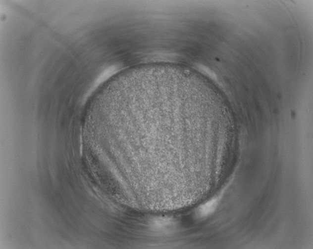 X0000065961219200603172016