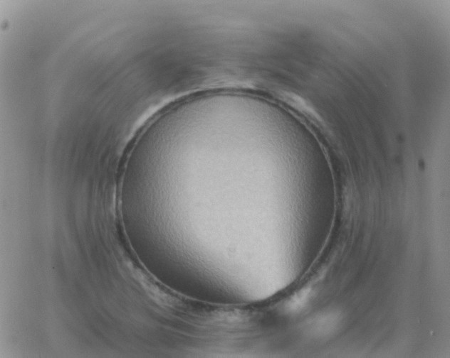 X0000065961220200603172016