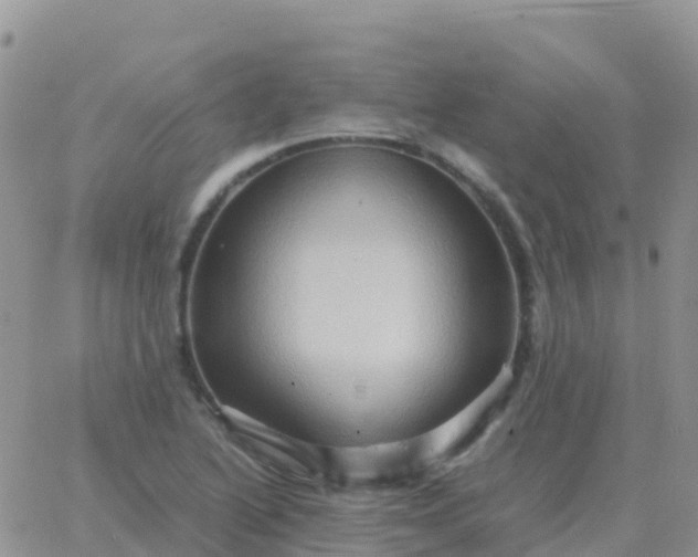 X0000065961222200603172016