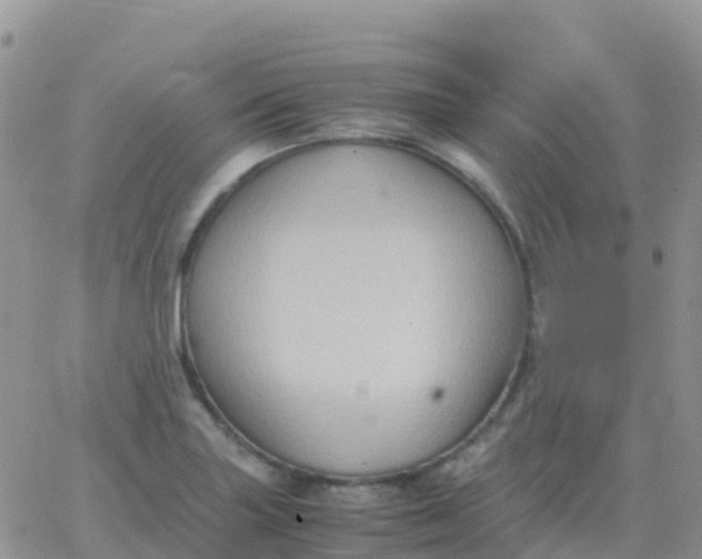 X0000065961227200603172016