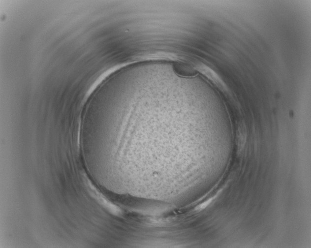 X0000065961228200603172016