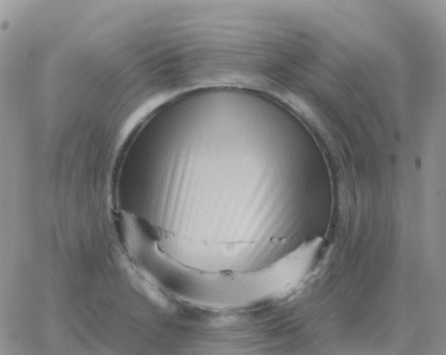 X0000065961230200603172016