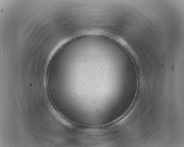 X0000065961232200603172016