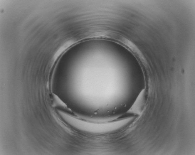 X0000065961234200603172016