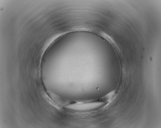 X0000065961236200603172016