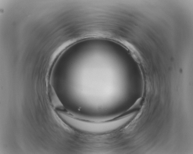 X0000065961238200603172016