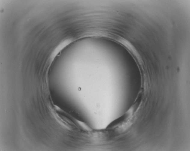 X0000065961242200603172016