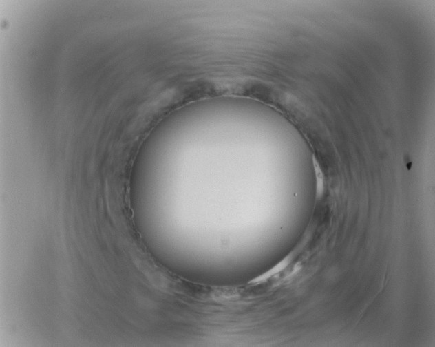 X0000065961249200603172016