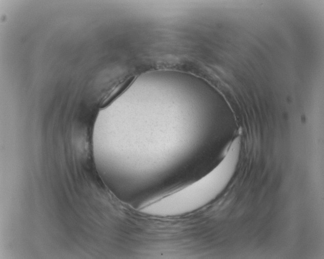 X0000065961252200603172016