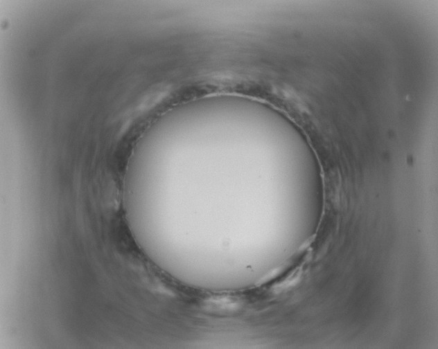 X0000065961253200603172016