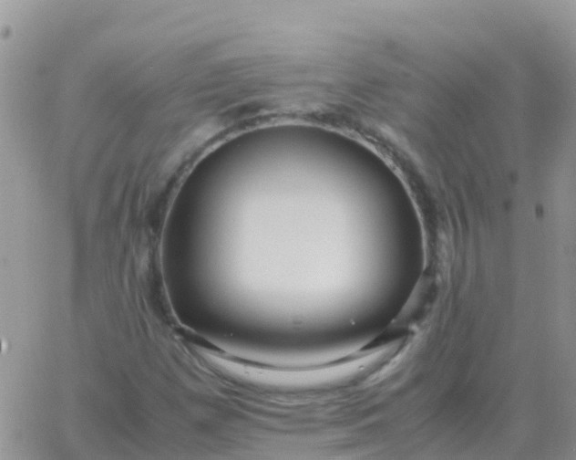 X0000065961257200603172016