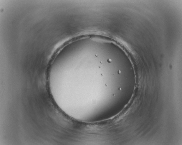 X0000065961264200603172015