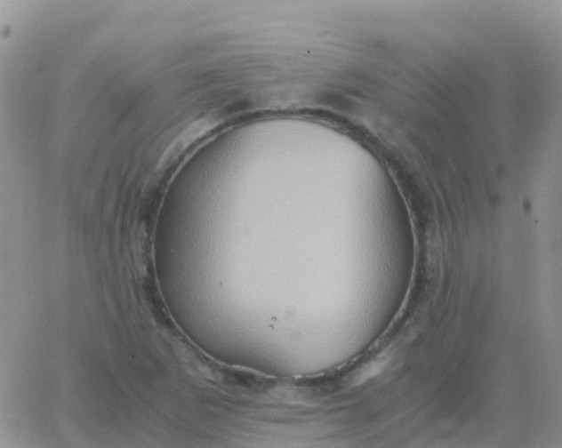 X0000065961265200603172015