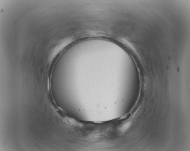 X0000065961269200603172015