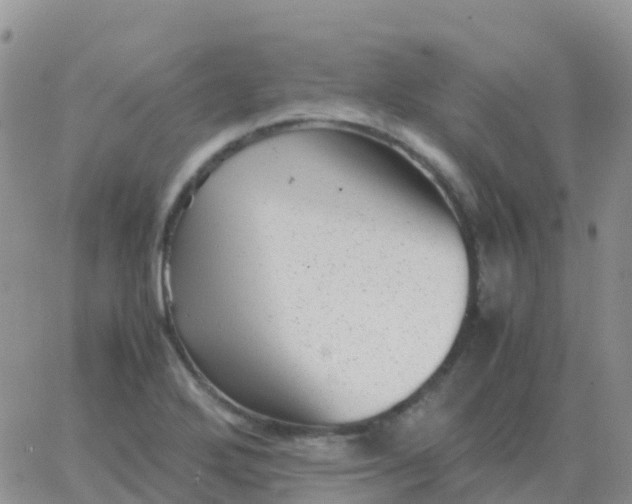 X0000065961272200603172015