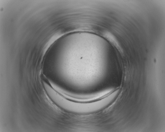 X0000065961284200603172015