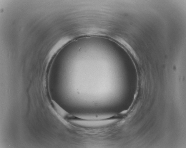 X0000065961285200603172015