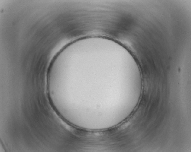 X0000065961286200603172015